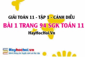 Giải bài 1 trang 94 Toán 11 tập 1 SGK Cánh Diều